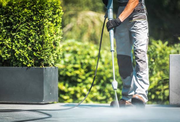 Best Pre-Holiday Cleaning  in Web, AL